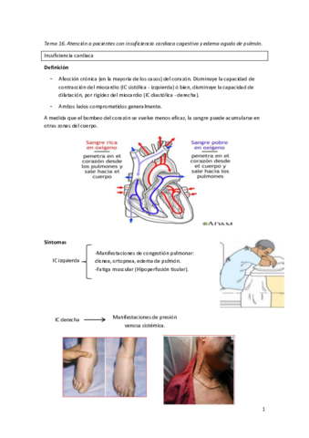 Tema-16.pdf