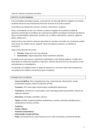 Tema-20.pdf