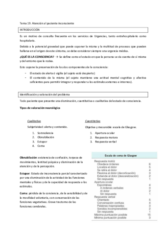 Tema-19.pdf