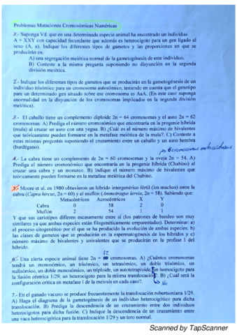 Tema-6.pdf