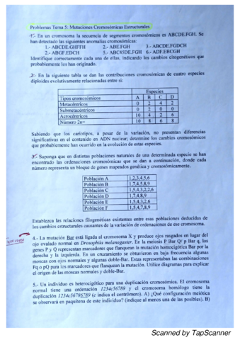 Tema-5.pdf
