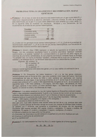 Tema-10.pdf