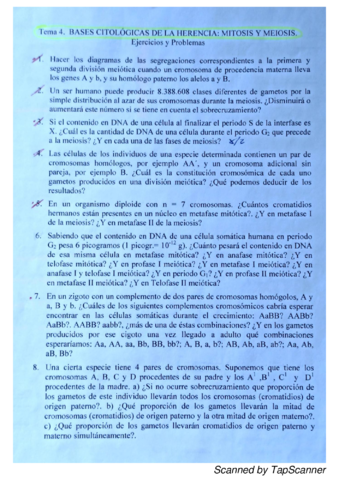 Tema-4.pdf