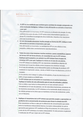 Preguntas-modulo-4.pdf