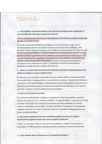 Preguntas-modulo-5.pdf