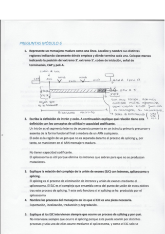 Preguntas-modulo-6.pdf