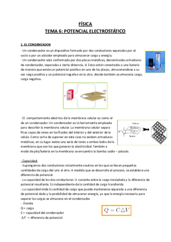 Fisica-Tema-6.pdf