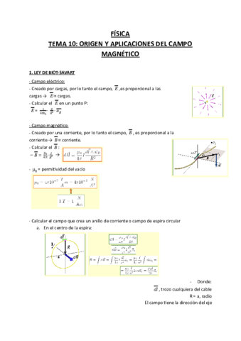 Fisica-Tema-10.pdf