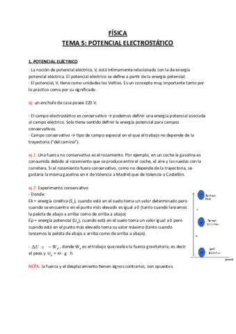 Fisica-Tema-5.pdf