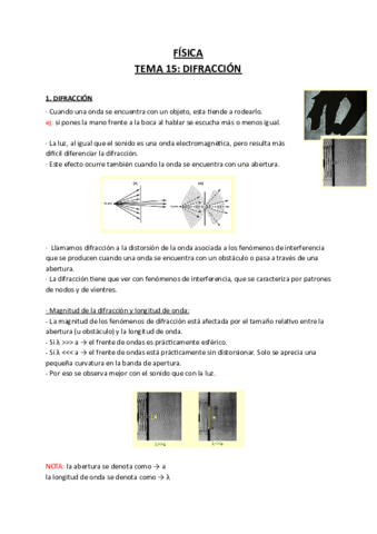 Fisica-Tema-15-.pdf