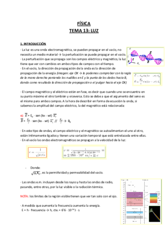 Fisica-Tema-13.pdf