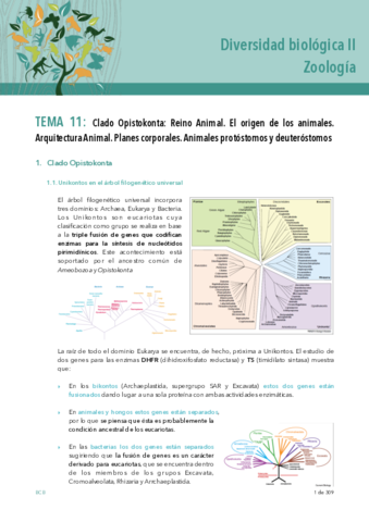 Diversidad-biologica-WUOLAH-primeros-temas.pdf