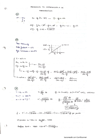 T5fisII.pdf