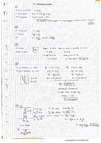 T2fisII.pdf