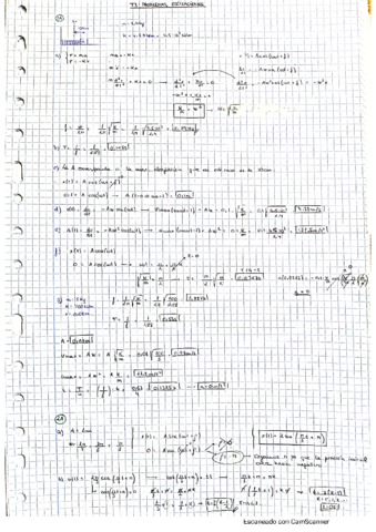 T3fisII.pdf