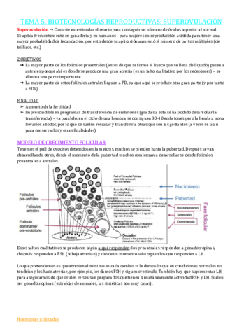 TEMA-5.pdf