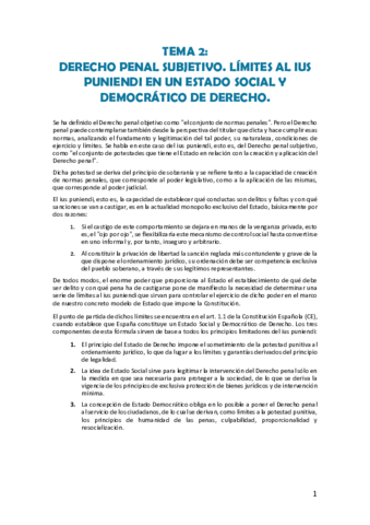 TEMA-2-INTRO-DERECHO-PENAL.pdf