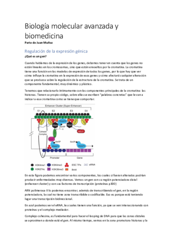 Apuntes-Juan-Munoz.pdf