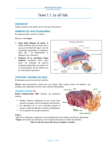 Resum-Tema-1-La-cellula.pdf