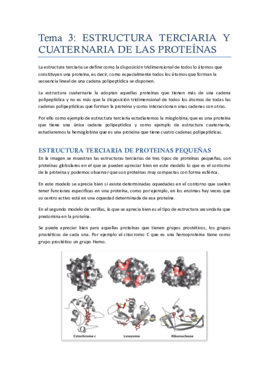 Tema 3.pdf