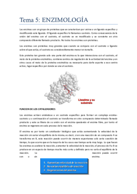 Tema 5.pdf