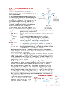 TEMA 12.pdf