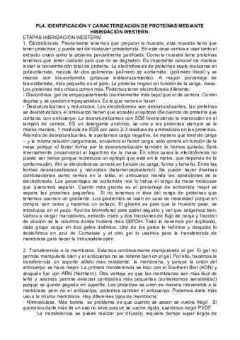 BEI-PR-4-teoria.pdf
