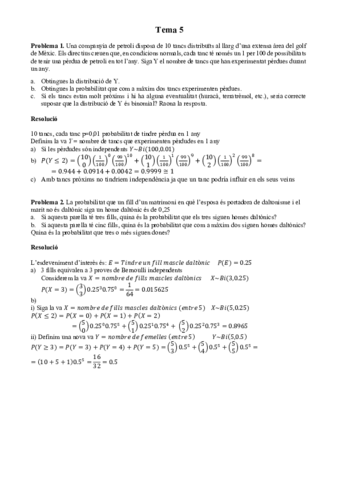 PROBLEMES-TEMA-5-CLASSE.pdf