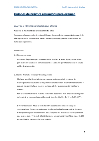 GUIONES RESUMIDOS.pdf
