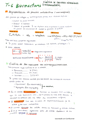 tema-6-biorreactores.pdf