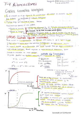tema-4-biorreactores.pdf