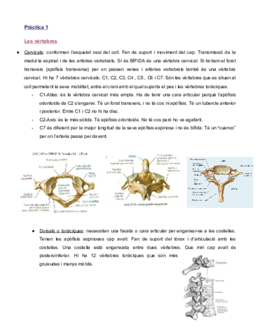 Anatomia-practica-1.pdf