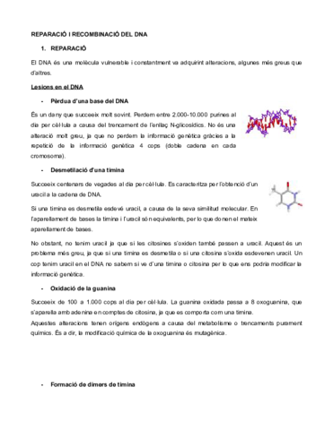 REPARACIO-I-RECOMBINACIO-DEL-DNA.pdf
