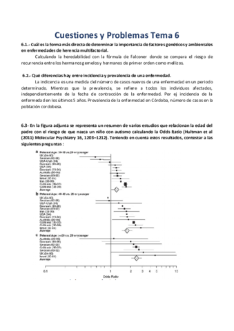 PROBLEMAS-Y-CUESTIONES-tema-6.pdf