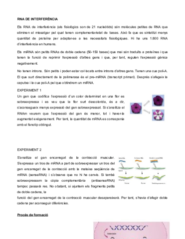 RNA-DE-INTERFERENCIA.pdf