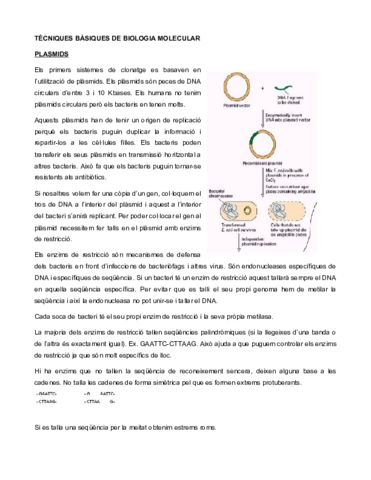 TECNIQUES-BIOLOGIA-MOLECULAR.pdf