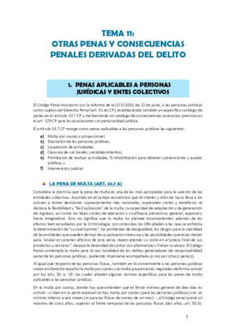 TEMA-11-INTRO-DERECHO-PENAL.pdf