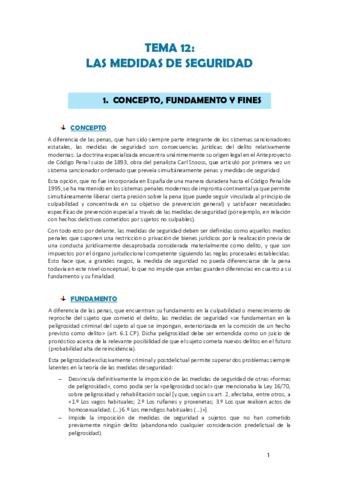 TEMA-12-INTRO-DERECHO-PENAL.pdf