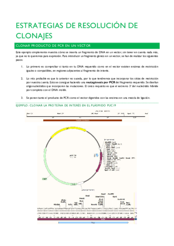 ESTRATEGIAS-DE-RESOLUCION-DE-CLONAJES.pdf