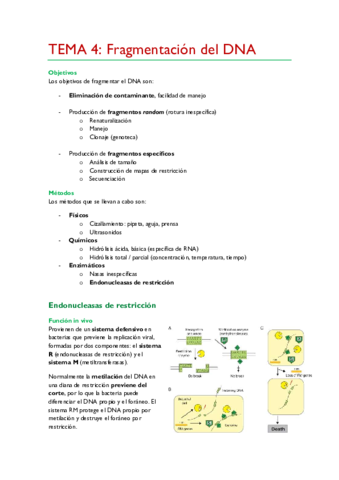TEMA-4.pdf
