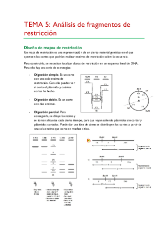 TEMA-5.pdf