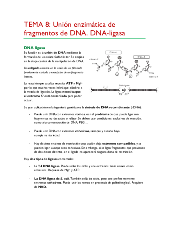 TEMA-8.pdf