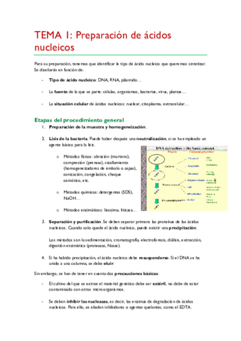 TEMA-1.pdf