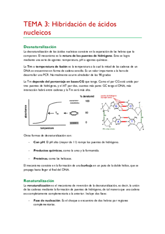 TEMA-3.pdf