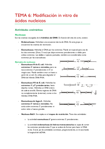 TEMA-6.pdf