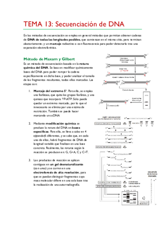 TEMA-13.pdf