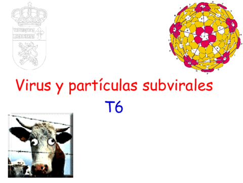 T-6-EUE-19-20-Virus.pdf