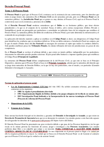 UAM-Derecho-Procesal-Penal-Apuntes-Completos.pdf