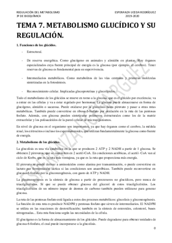 TEMA-7.pdf