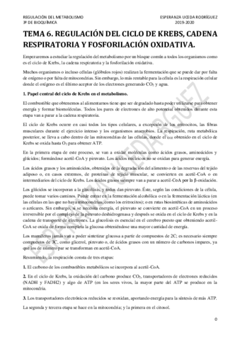 TEMA-6.pdf